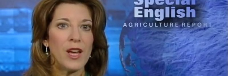 Who Invented the Weed Eater Who Invented the Weed Eater